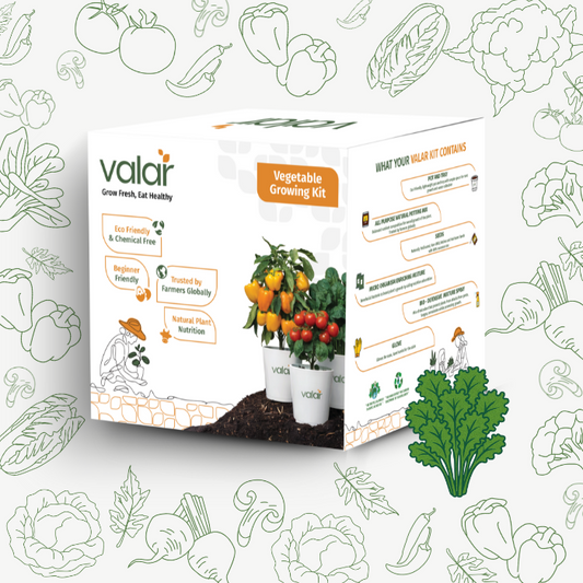 🌱 Valar Spinach Growing Kit | All-in-One Home Gardening Set 🌿 (Pack of 1 - Big) | Reusable Pot + Organic Seeds + Fertilizers