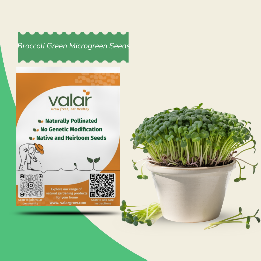 Broccoli Green Microgreen Seeds