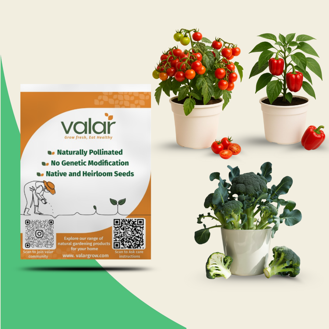 Valar Garden Favorites Seeds Bundle – Cherry Tomato, Broccoli & Red Bell Pepper
