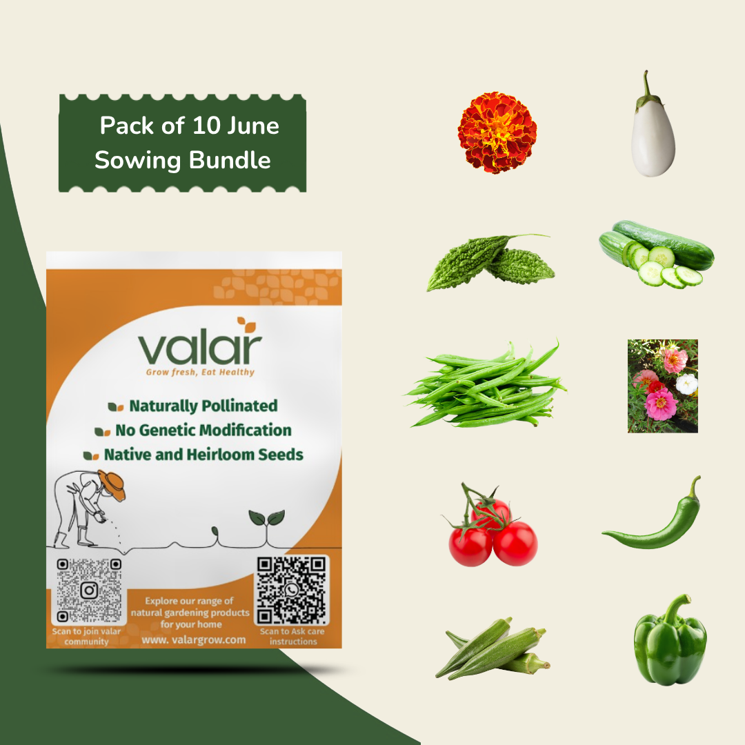 Pack of 10 June Sowing Seeds (Monsoon Pack)