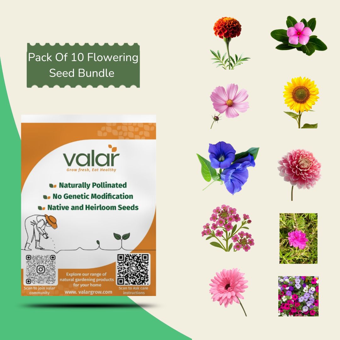 Pack of 10 Flowering Seed Bundle