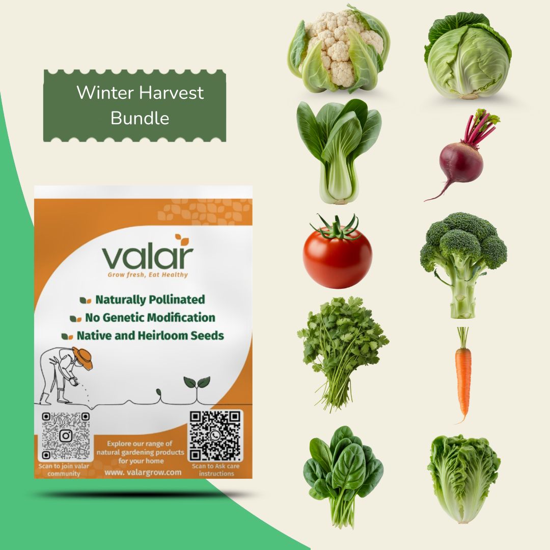 Pack of 10 November sowing Seeds (Winter Harvest)