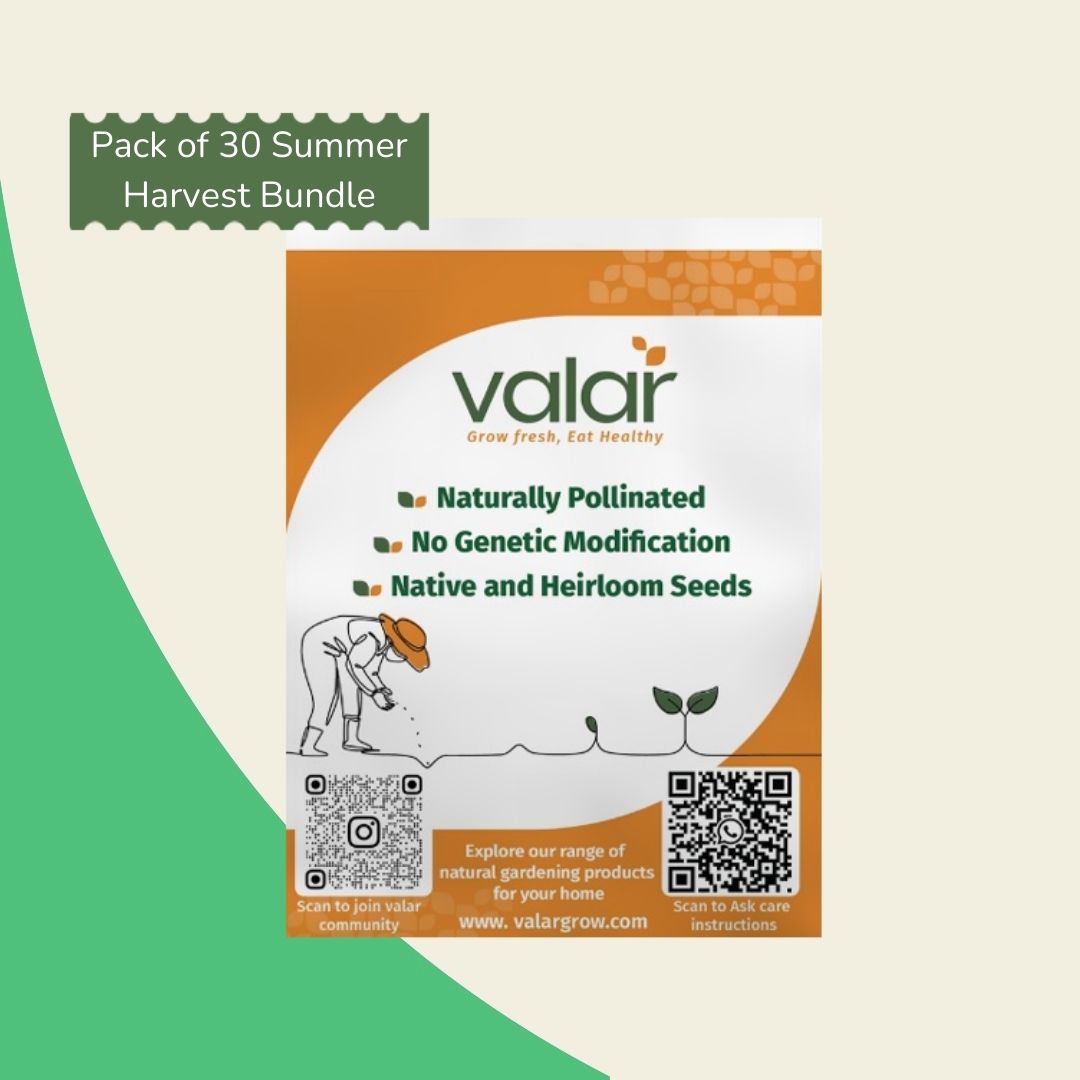 Pack of 30 Summer Harvest Bundle