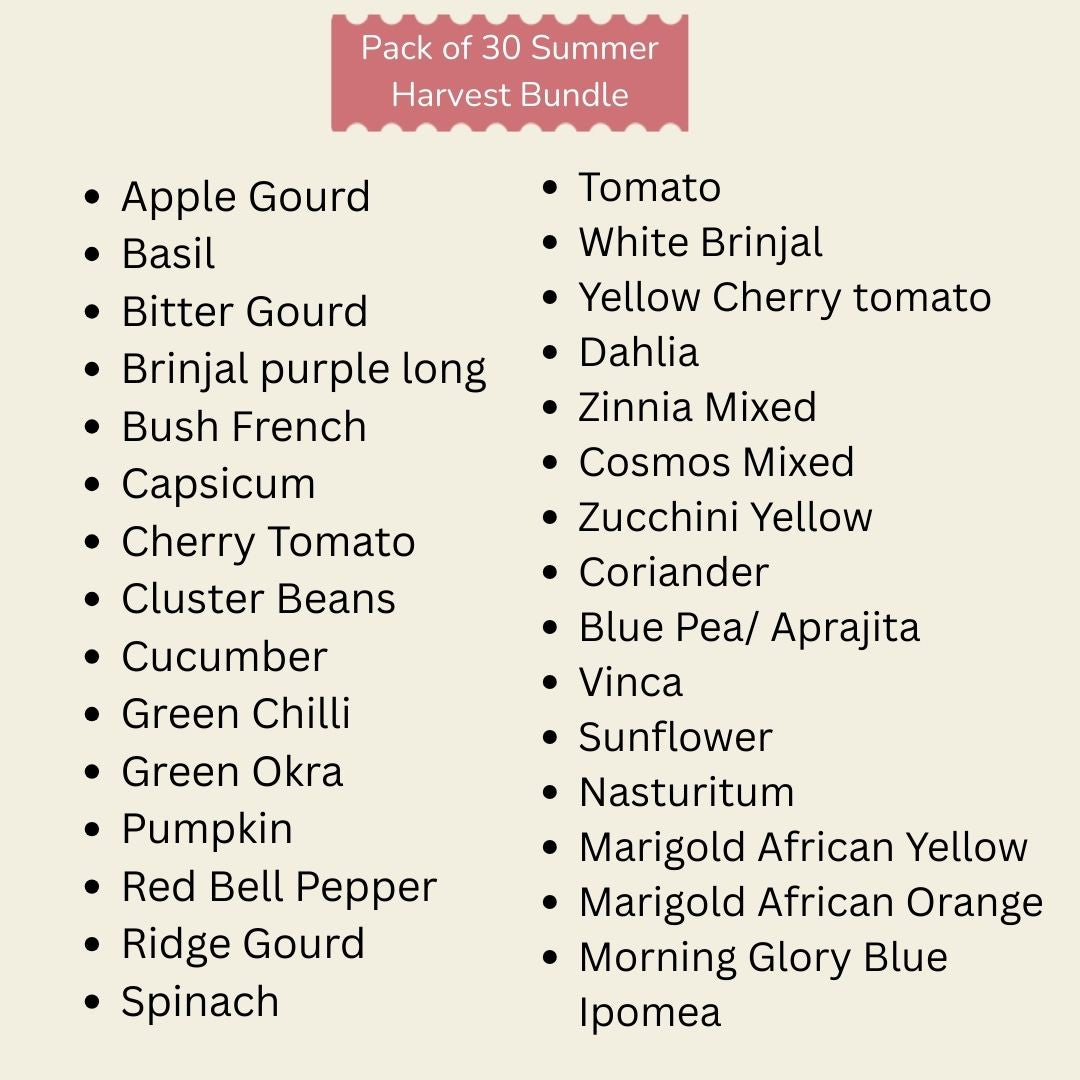 Pack of 30 Summer Harvest Bundle