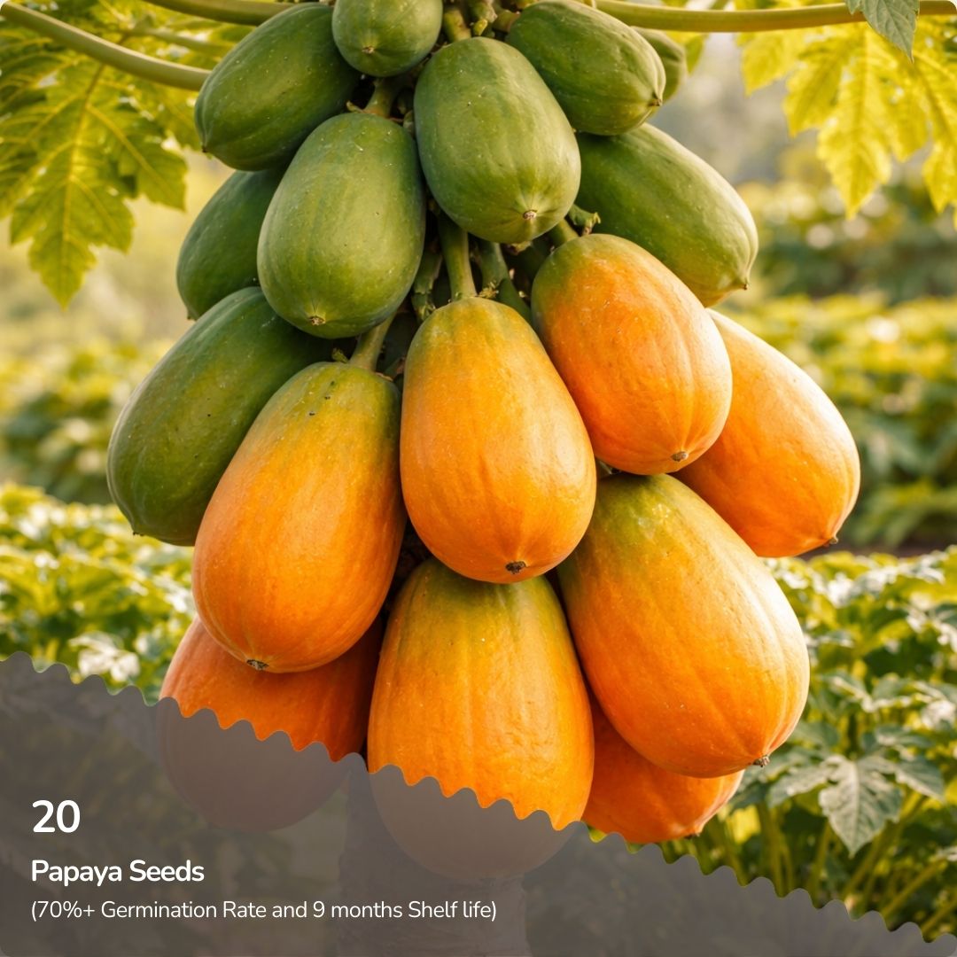 Organic Papaya Seeds