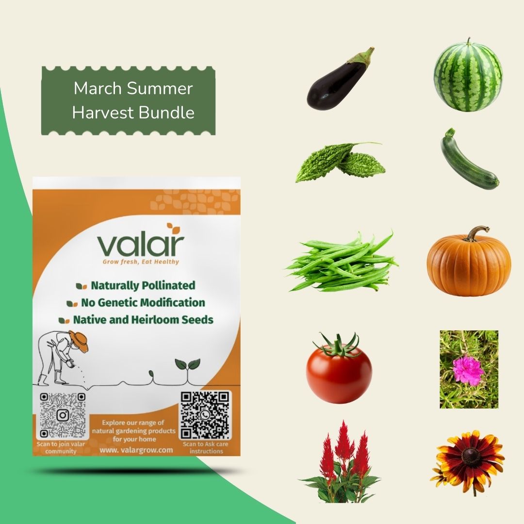 Pack of 10 March sowing Seeds (Summer Harvest)