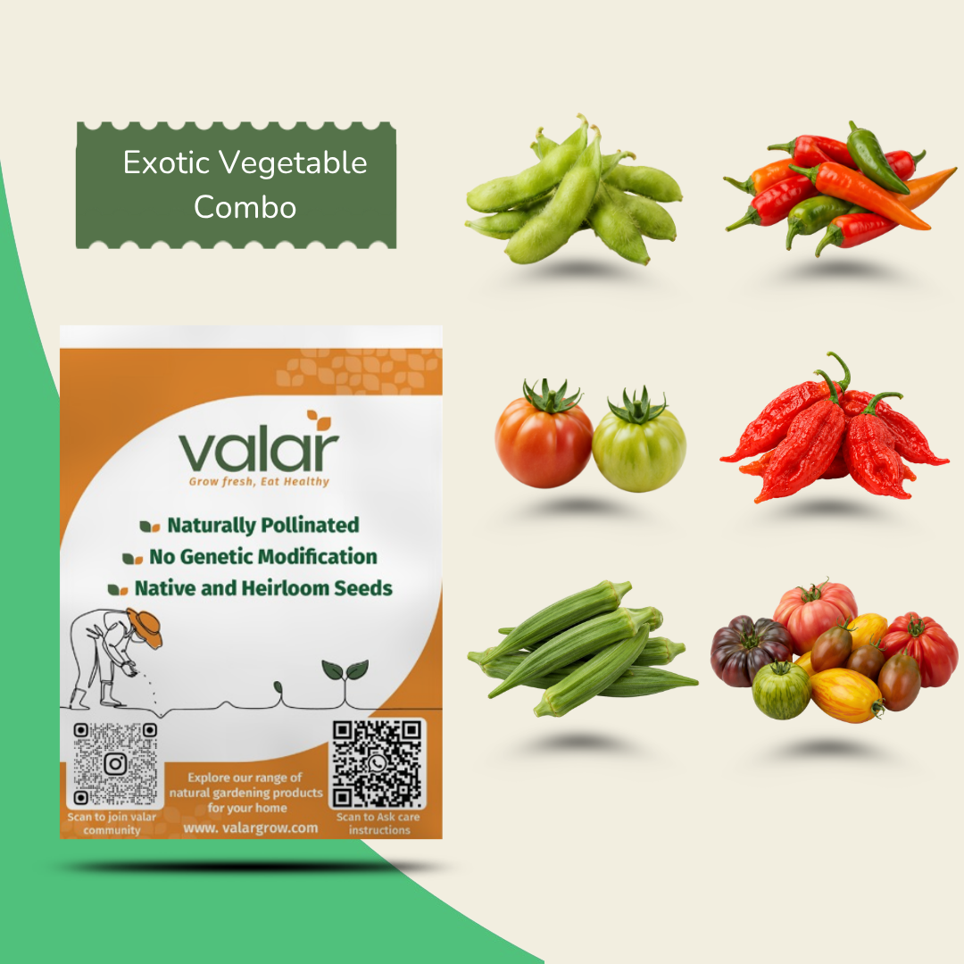 Exotic Vegetable Seed Bundle