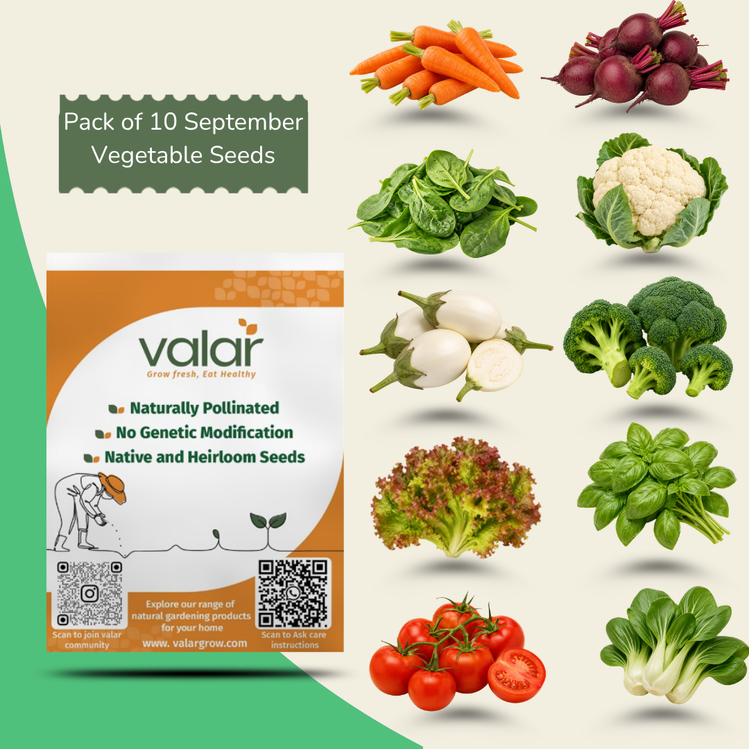 Pack of 10 September Vegetable Seeds