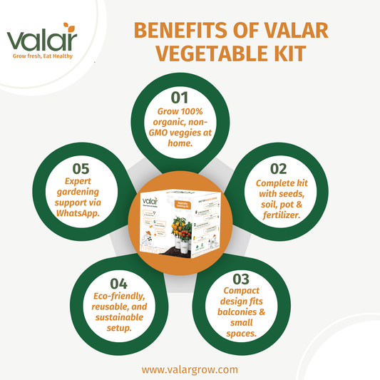 🌱 Valar Basil Growing Kit | All-in-One Home Gardening Set 🌿 (Pack of 1 - Big) | Reusable Pot + Organic Seeds + Fertilizers