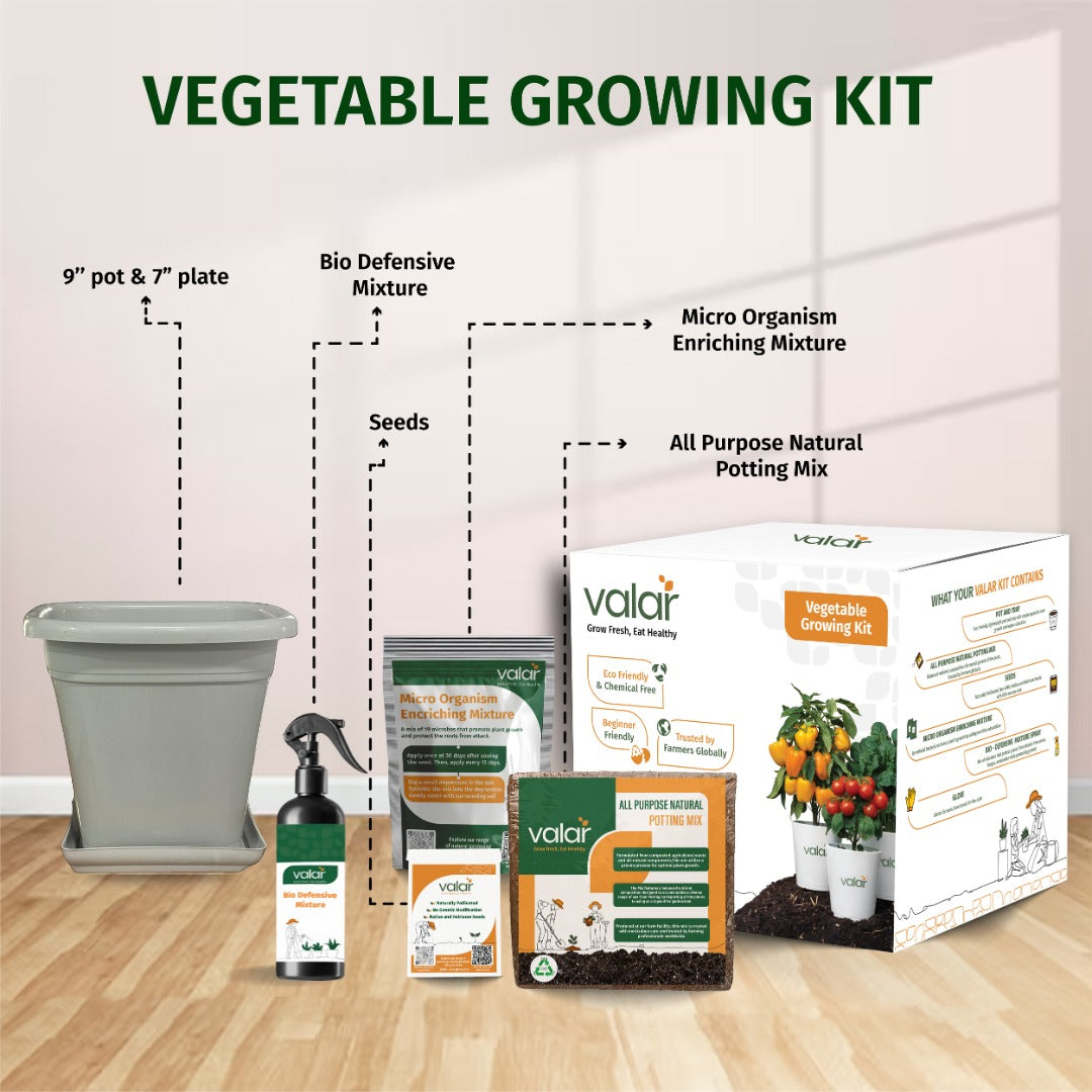🌱 Valar Basil Growing Kit | All-in-One Home Gardening Set 🌿 (Pack of 1 - Big) | Reusable Pot + Organic Seeds + Fertilizers