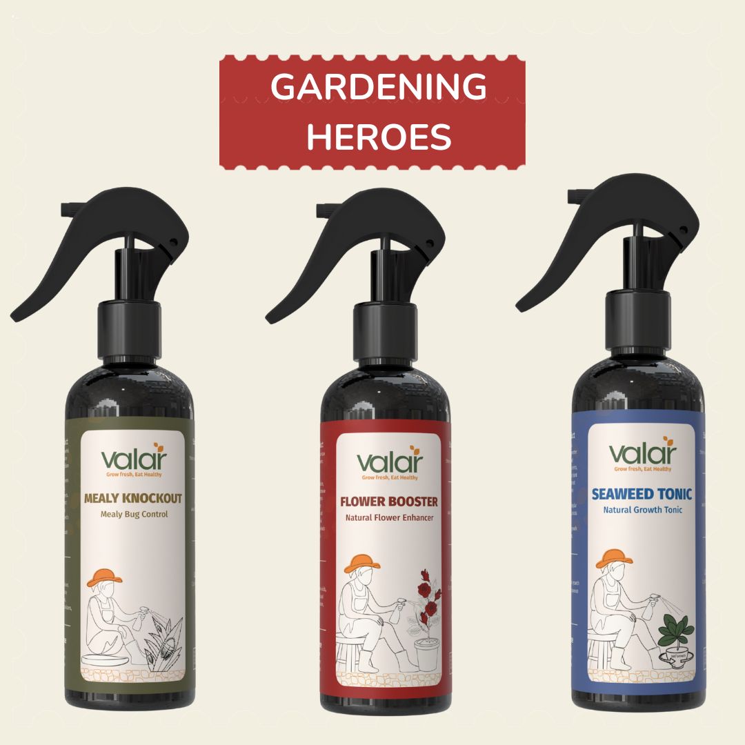 Gardening Heroes  (Mealy Bug + Flower Booster + Seaweed)