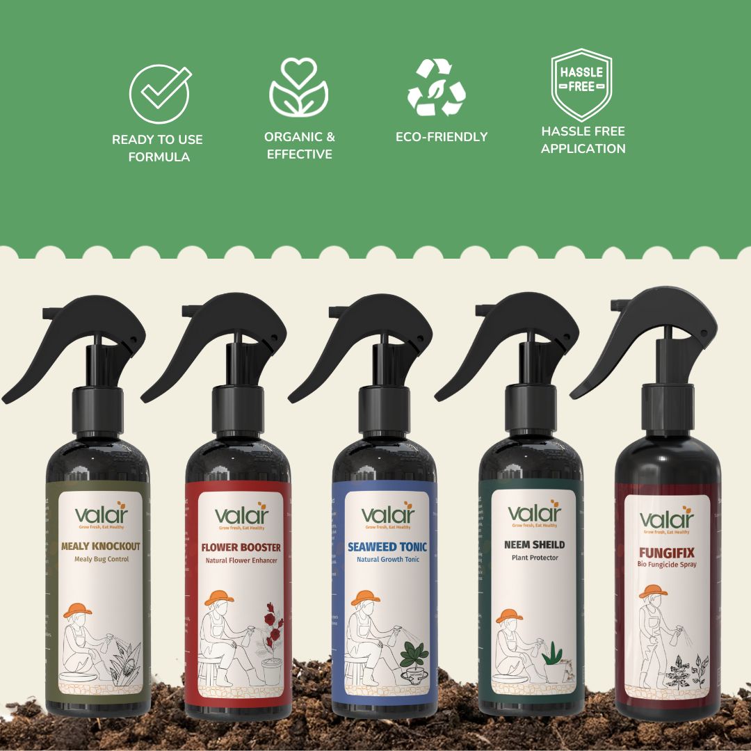Garden Essentials  (Mealy Bug + Fungicide + Neem + Flower Booster + Seaweed)