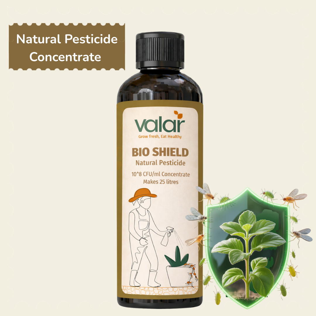 Bio-Pesticide Concentrate ( Makes 25 liters )