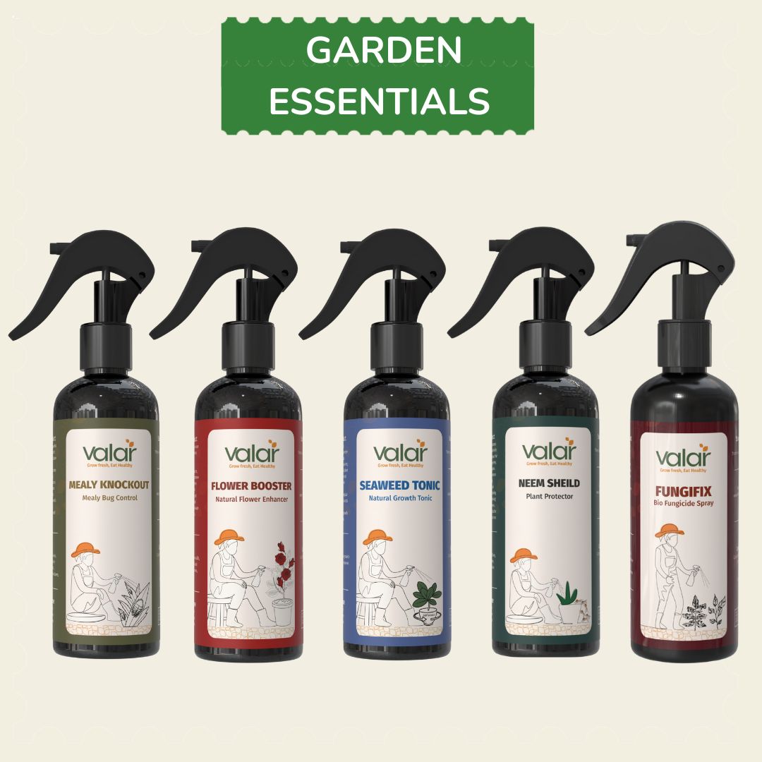Garden Essentials  (Mealy Bug + Fungicide + Neem + Flower Booster + Seaweed)