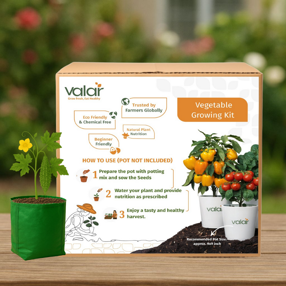 DIY Organic Bitter Gourd Grow Kit
