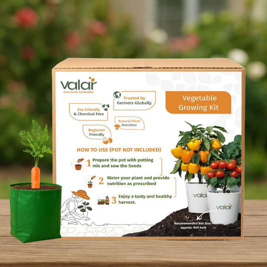 🌱  Valar Orange Carrot | All-in-One Home Gardening Set 🌿 (Pack of 1 - Big) | Grow Bag  + Organic Seeds + Bio-Fertilizers
