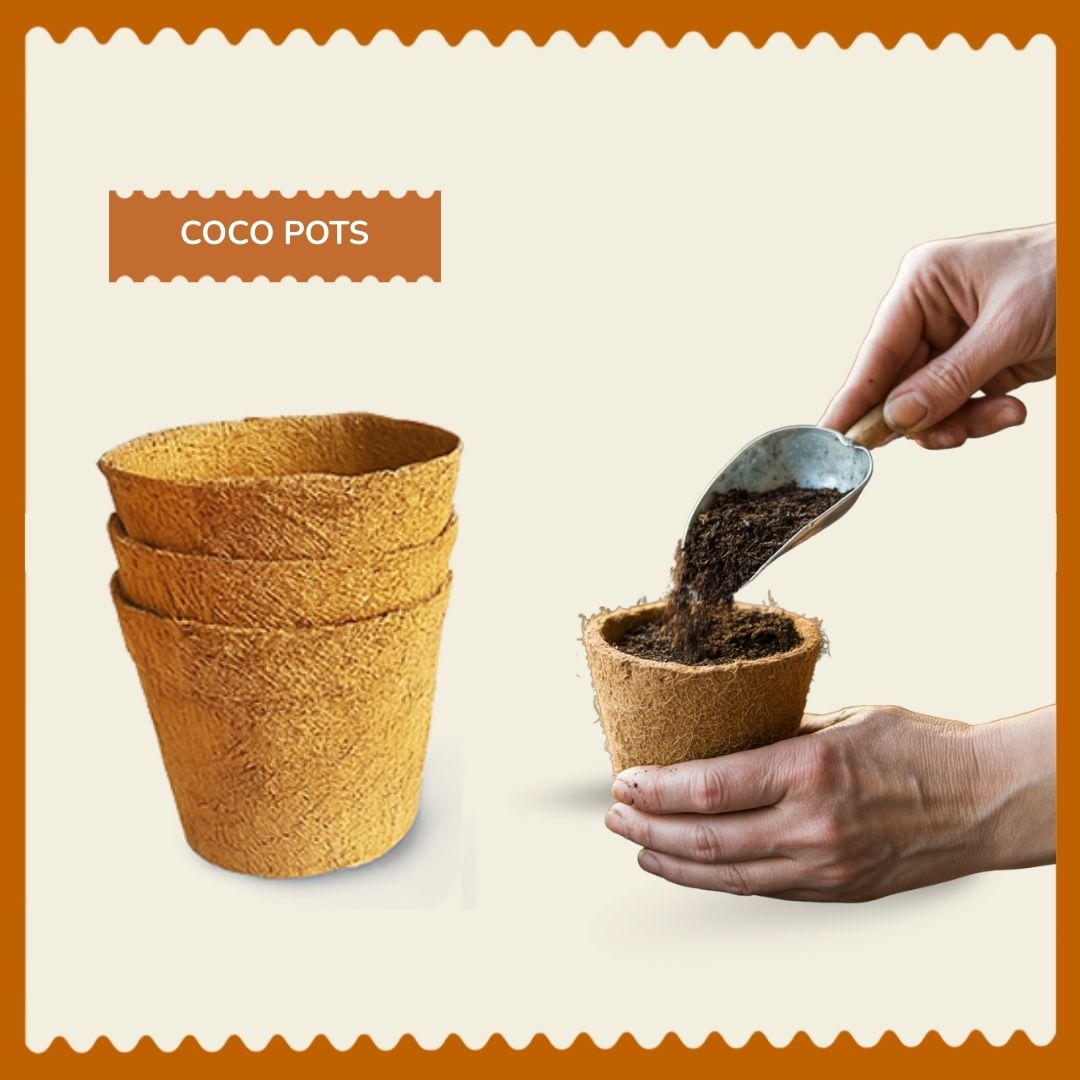 Organic Coco Pots