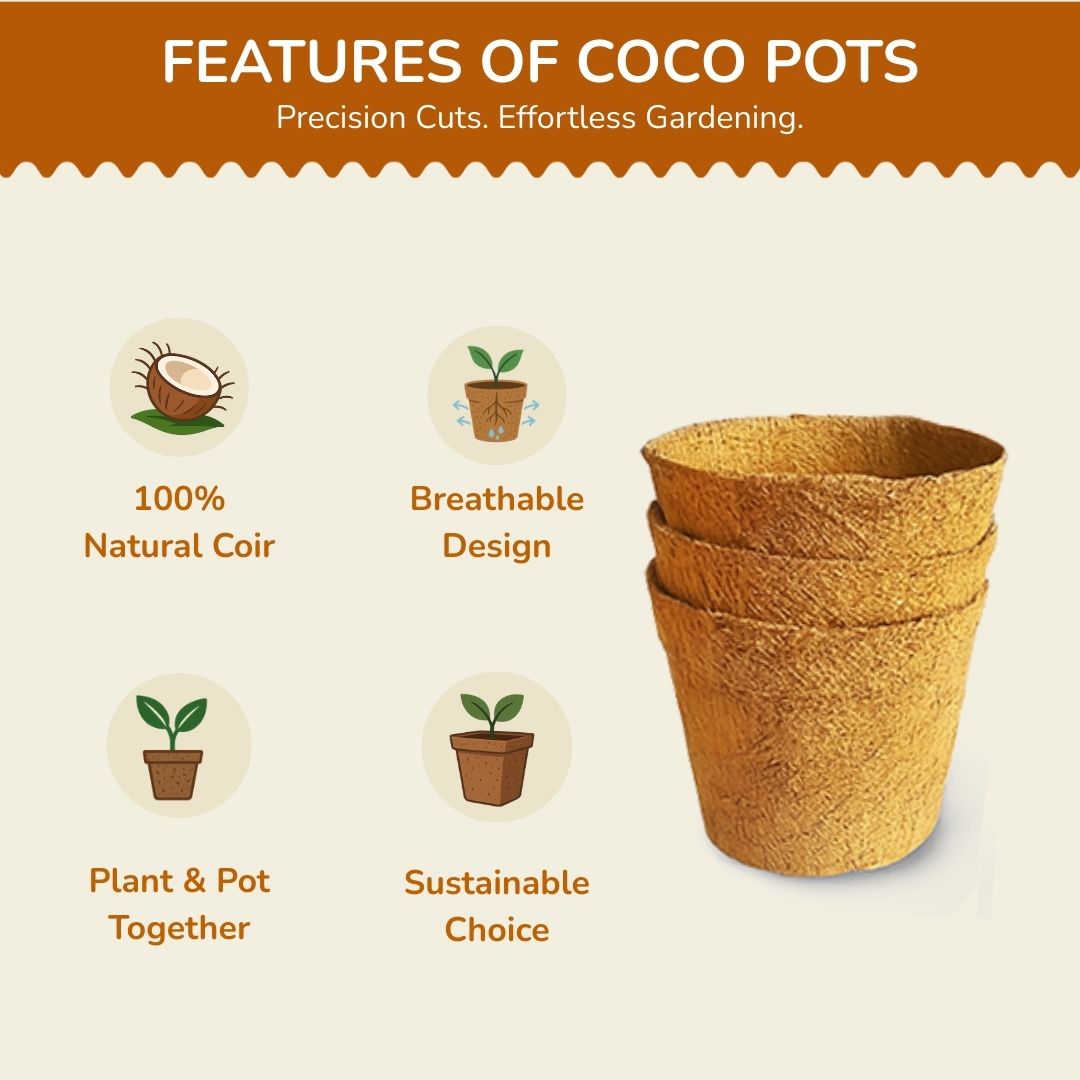 Organic Coco Pots