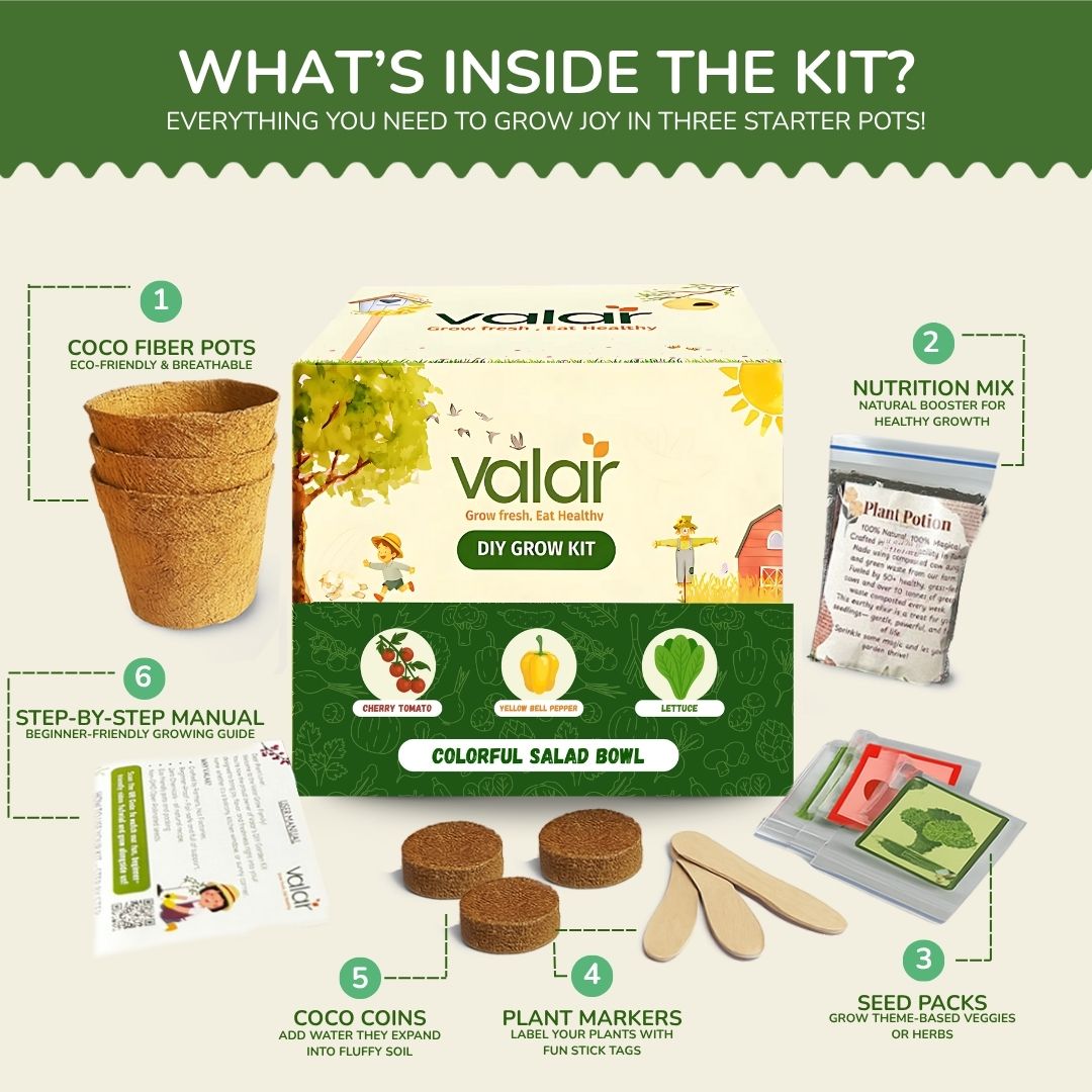 🌿 The Colorful Salad Bowl Garden Hobby Kit