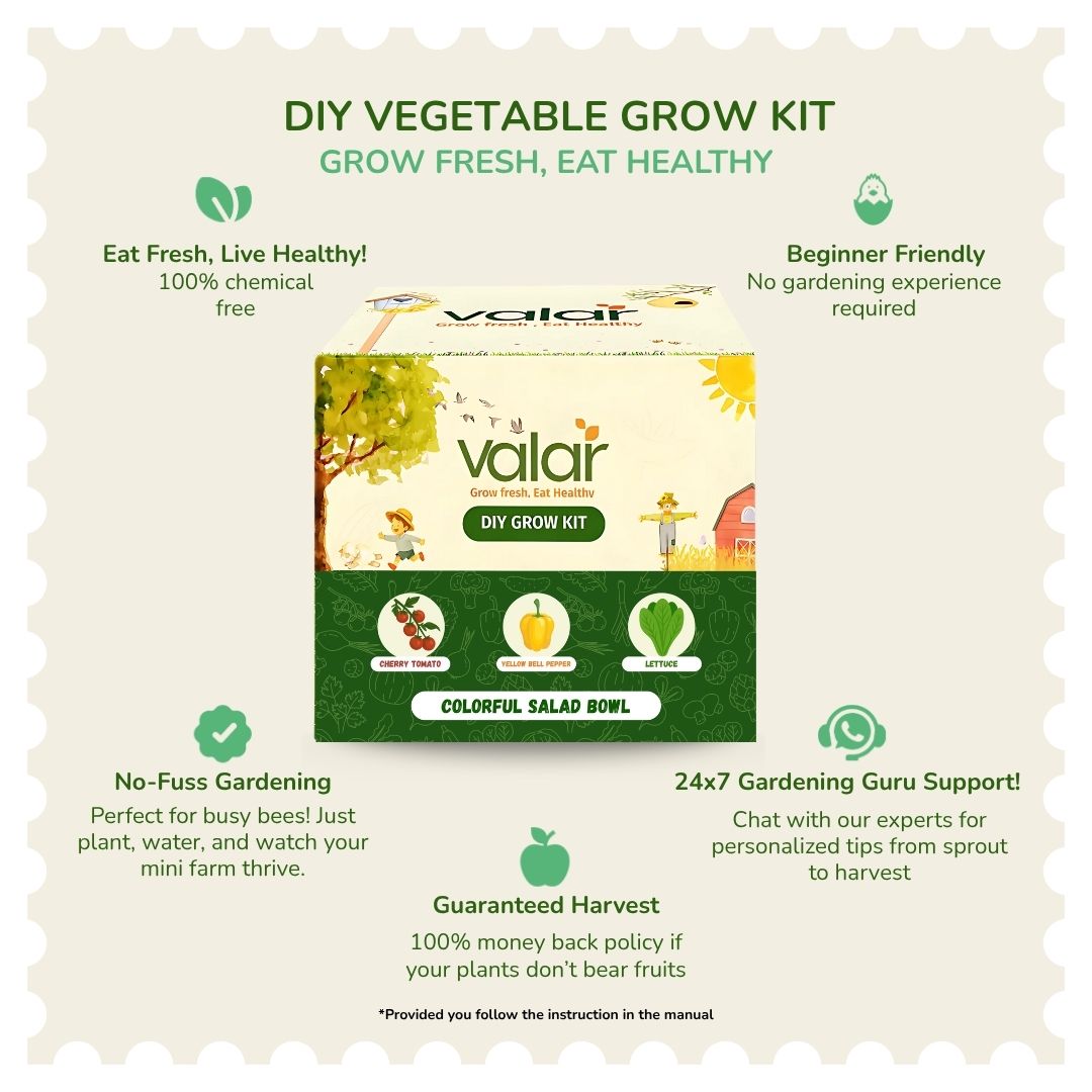 test product live plants