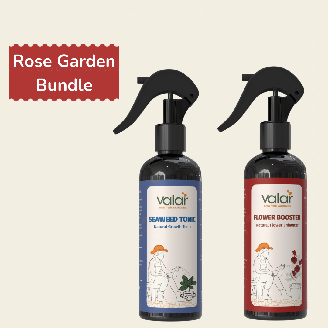 Rose Garden Bundle (Flower Booster + Seaweed Tonic)