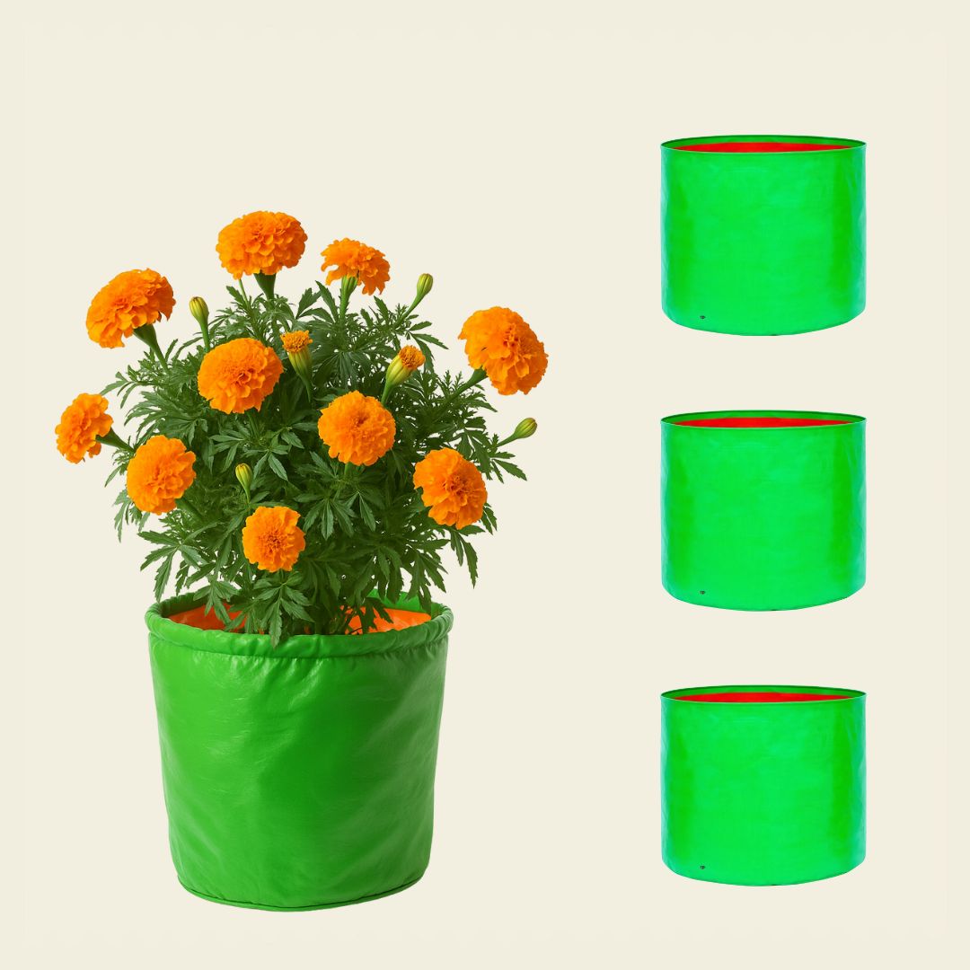 15x15 Inch HDPE Grow Bags | UV-Stabilized, Reusable Planter Bags