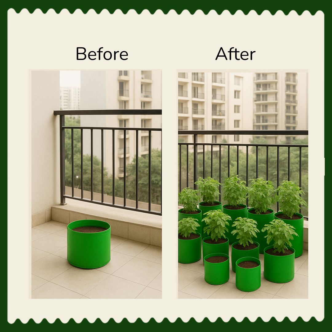 24”x 6” HDPE Leafy Green Big Grow Bags for Vegetables | UV-Stabilized, Reusable Planter Bags | 230 GSM