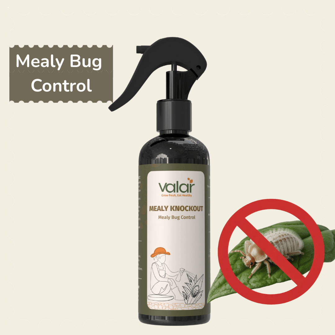 Mealy Bug Control- Ready-To-Use Spray (250 ml)