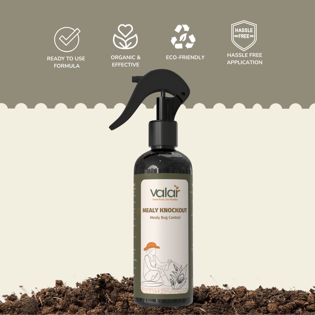 Mealy Bug Control- Ready-To-Use Spray (250 ml)