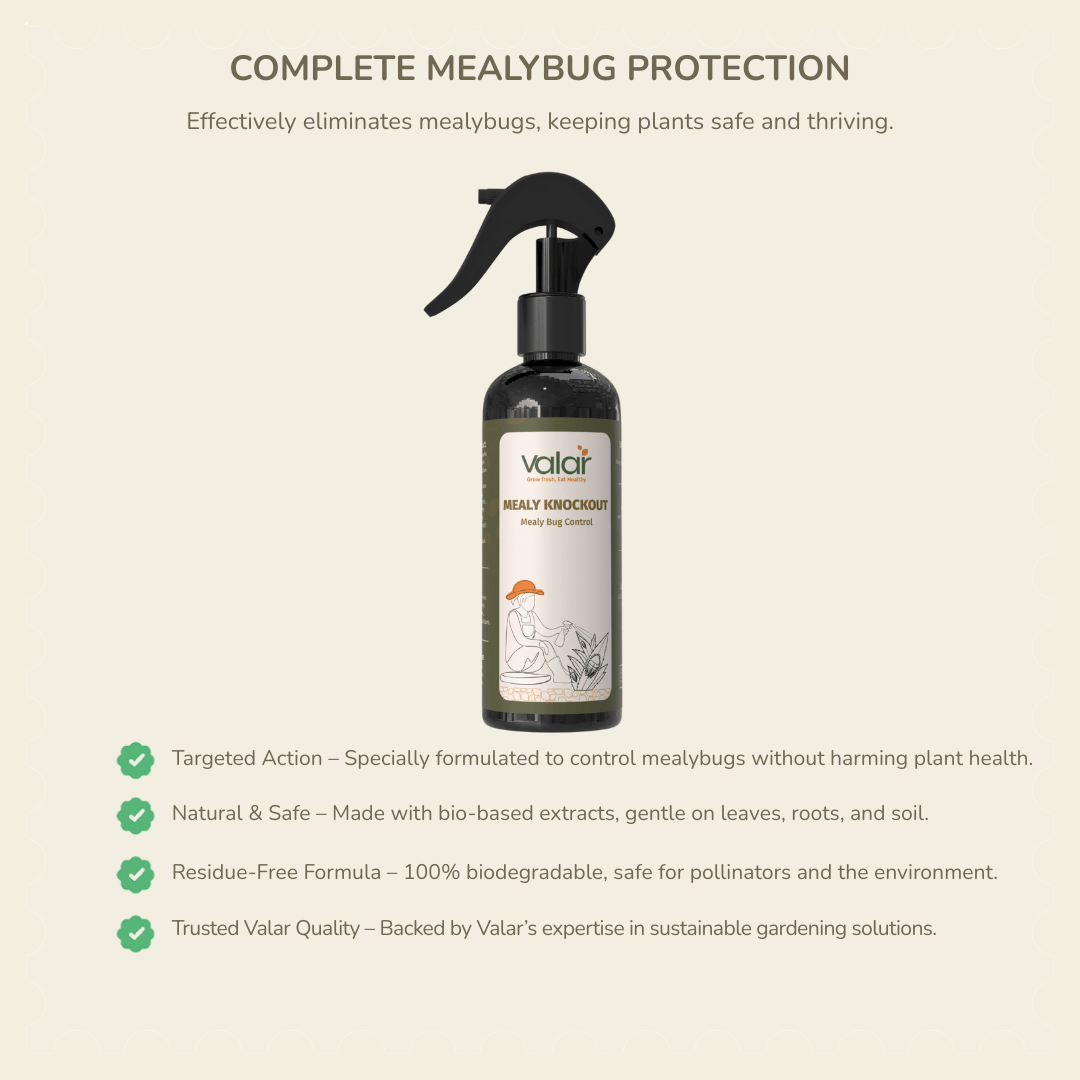 Mealy Bug Control- Ready-To-Use Spray (250 ml)