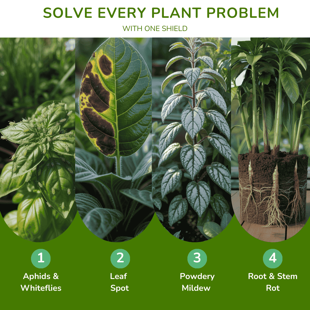 Plant Protection & Growth Bundle (Pesticide + Fungicide + Growth Tonic) (Makes 750 litres)