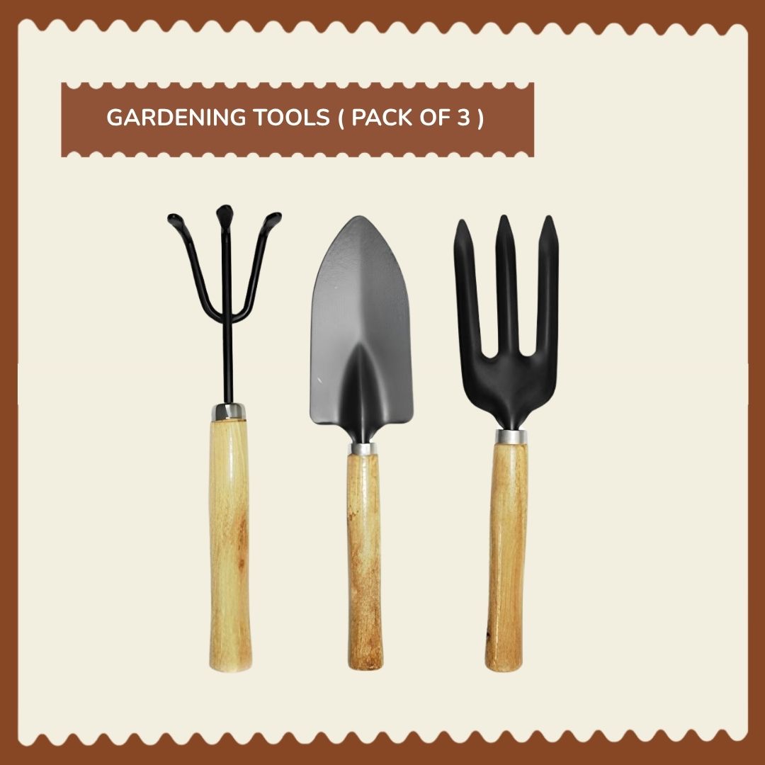 3 PCS Garden Tool Kit
