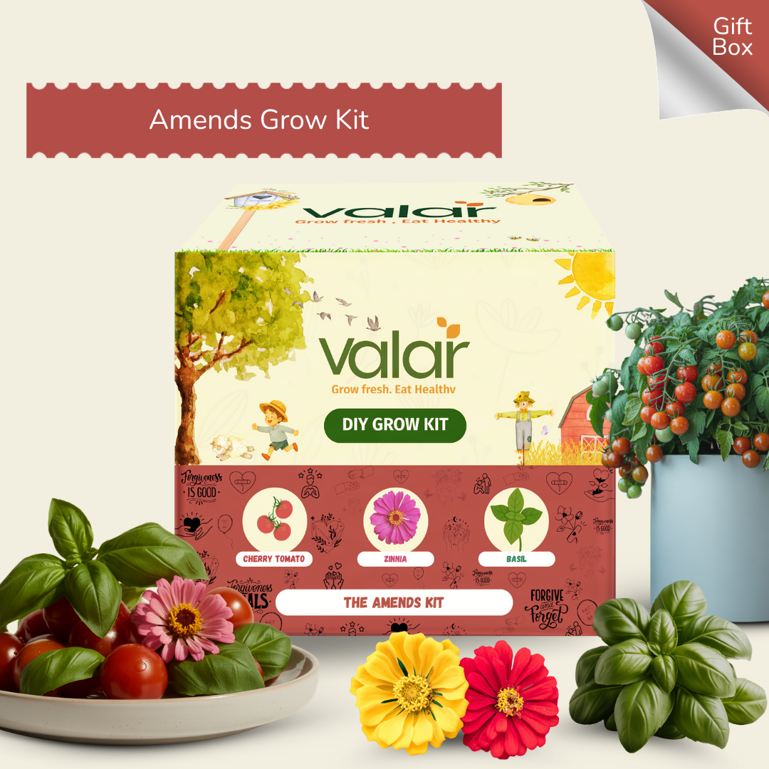 The Amends Grow Kit