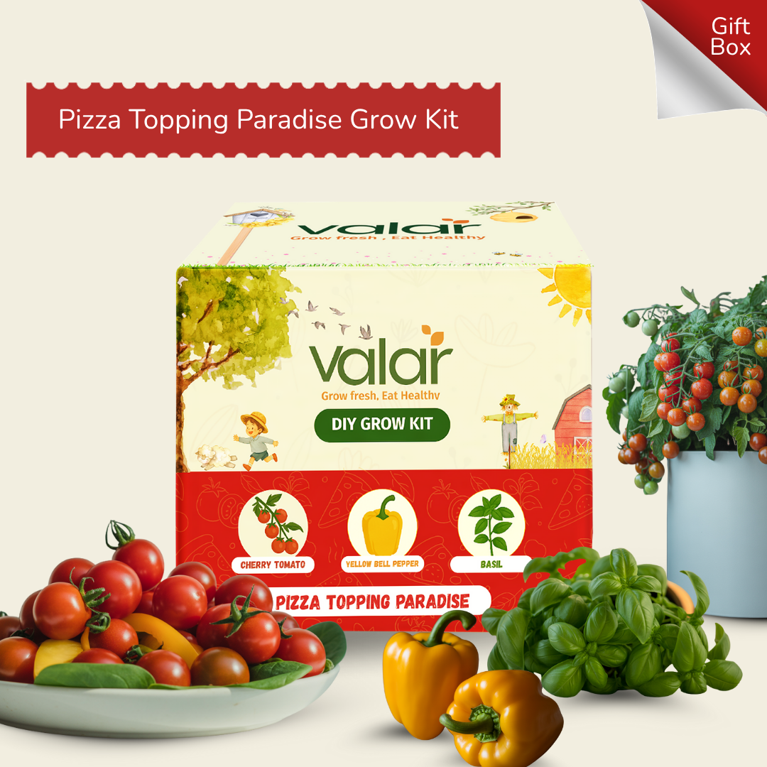 The Pizza Topping Paradise Gift Kit