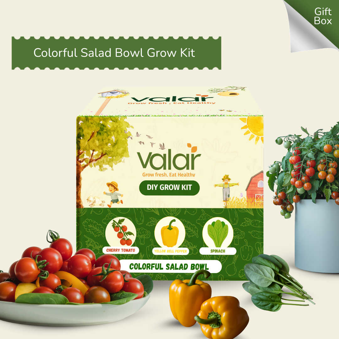 The  Colorful Salad Bowl Gift Kit