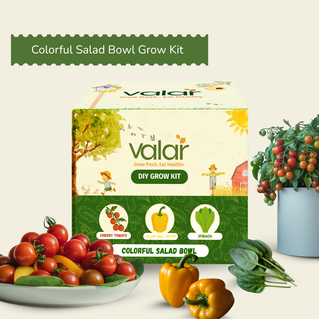 🌿 The Colorful Salad Bowl Garden Hobby Kit