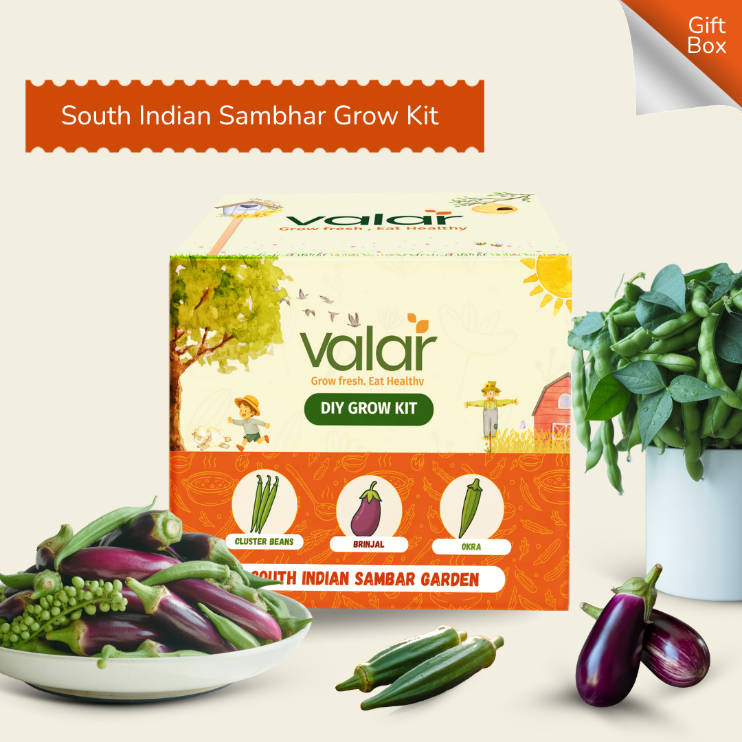 The South Indian Sambar Gift Kit