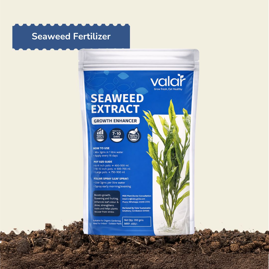 Organic Seaweed  Fertilizer for Plants