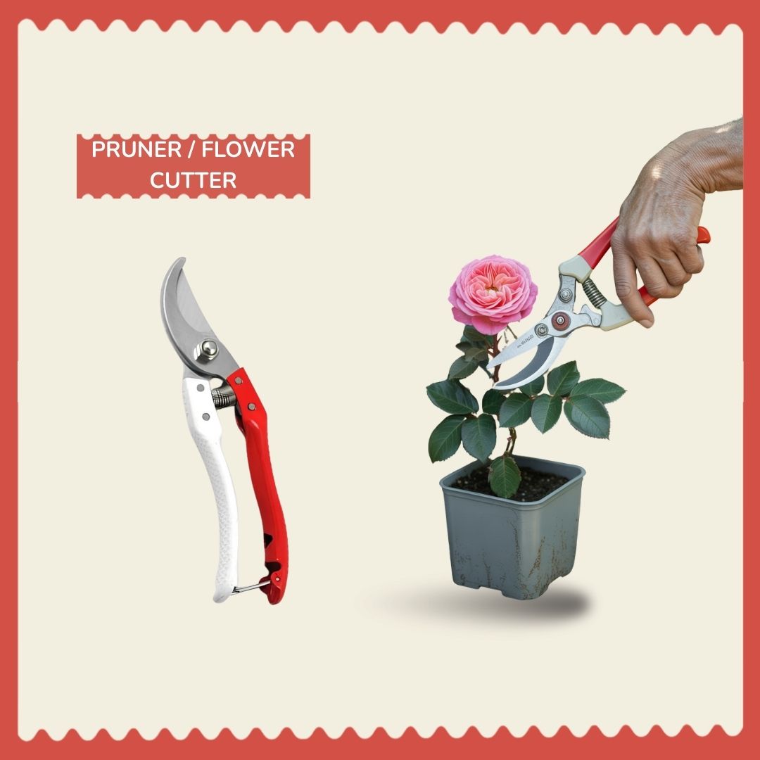 ✂️ SS White/Red Flower Cutter (Pruner) – Precision Cutting for Healthy Plan 🌿