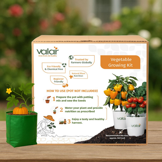 🌱  Valar Pumpkin 🎃 | All-in-One Home Gardening Set 🌿 (Pack of 1 - Big) | Grow Bag  + Organic Seeds + Bio-Fertilizers