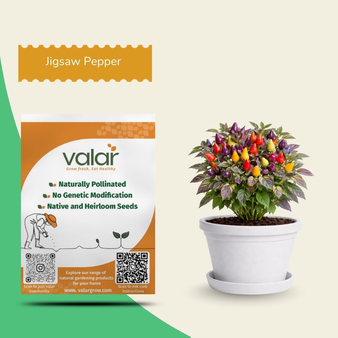 Jigsaw Pepper Seeds
