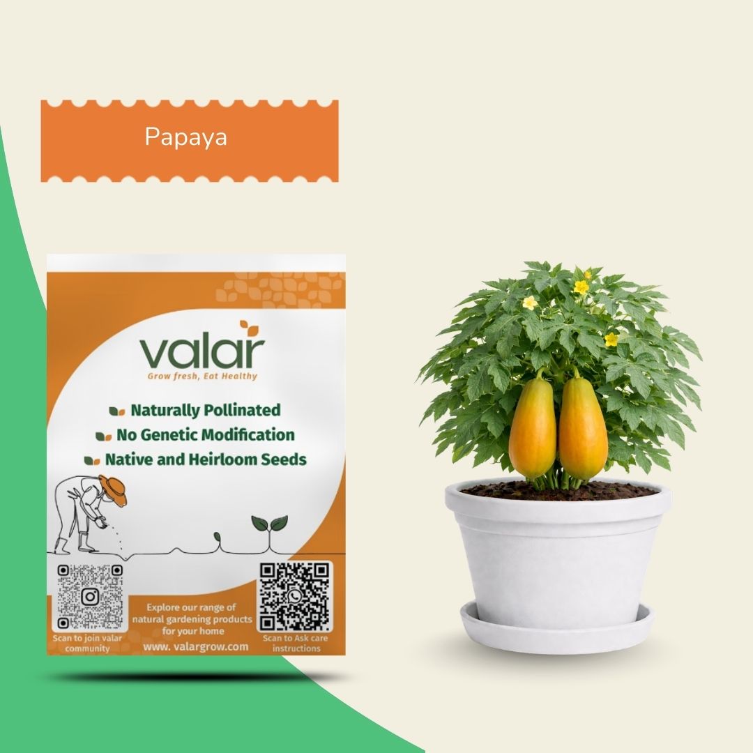 Organic Papaya Seeds