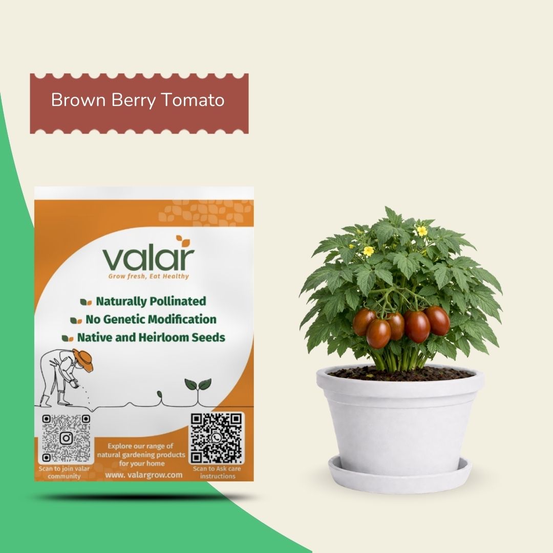 Organic Brown Berry Tomatoes Seeds