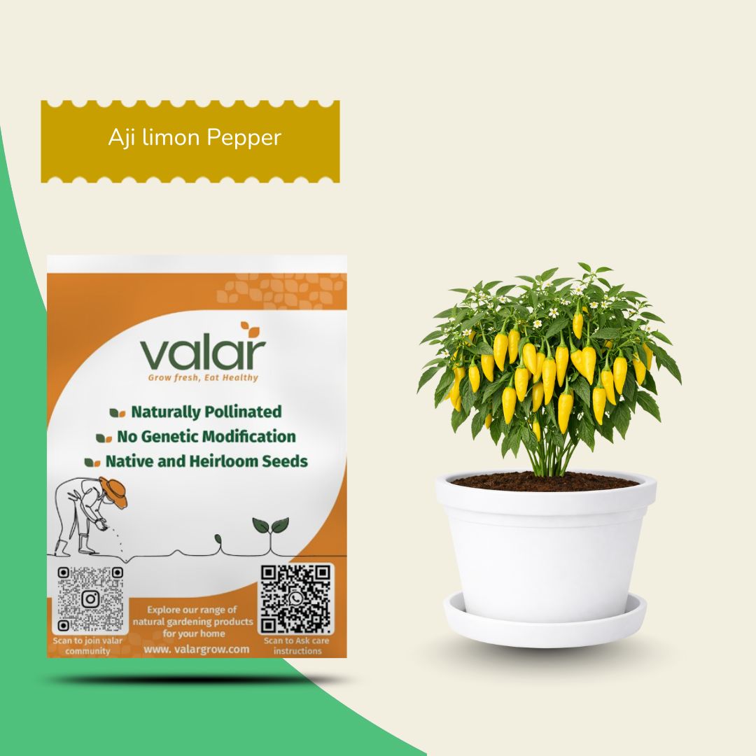 Aji Limon (Peru) Pepper Seeds