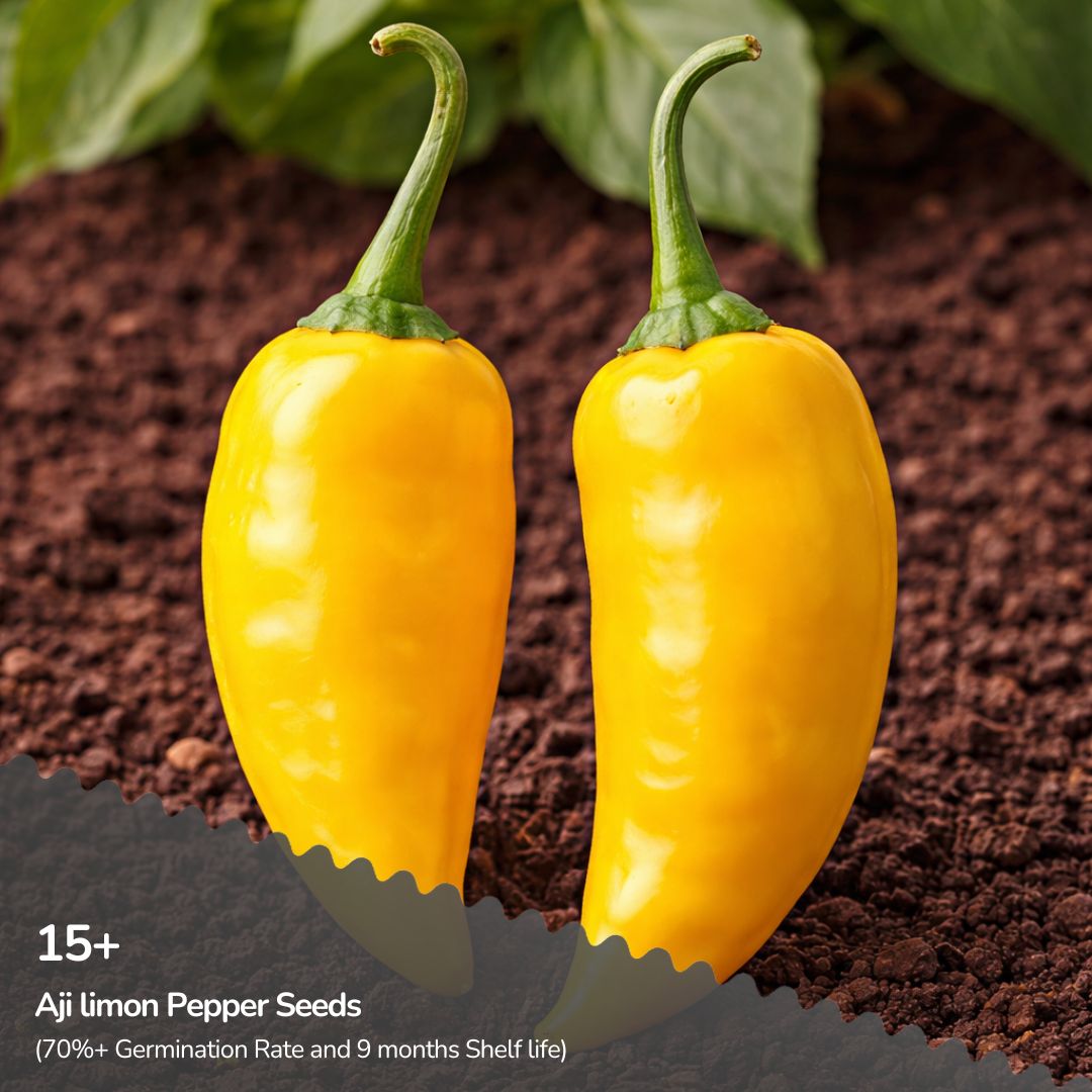Aji Limon (Peru) Pepper Seeds