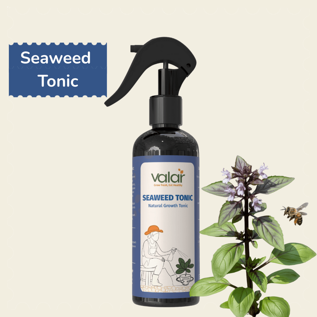 Seaweed Tonic- Ready-To-Use Spray (250 ml)