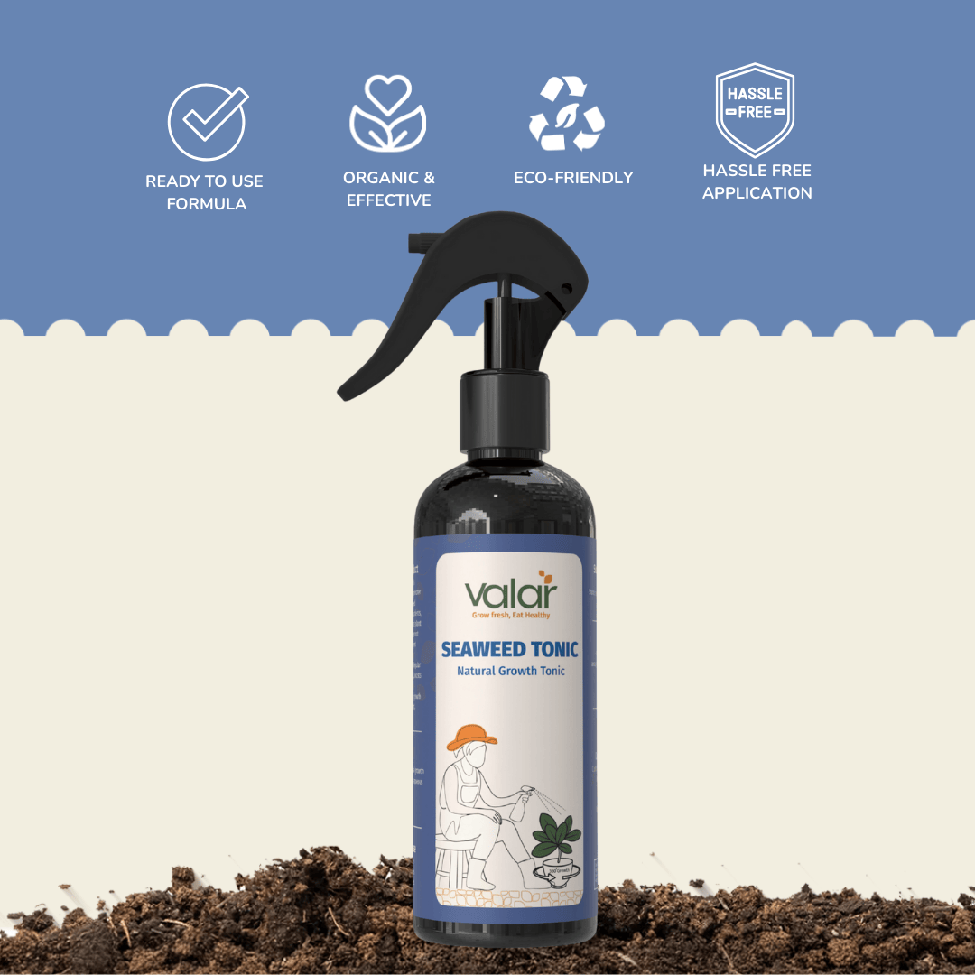 Seaweed Tonic- Ready-To-Use Spray (250 ml)