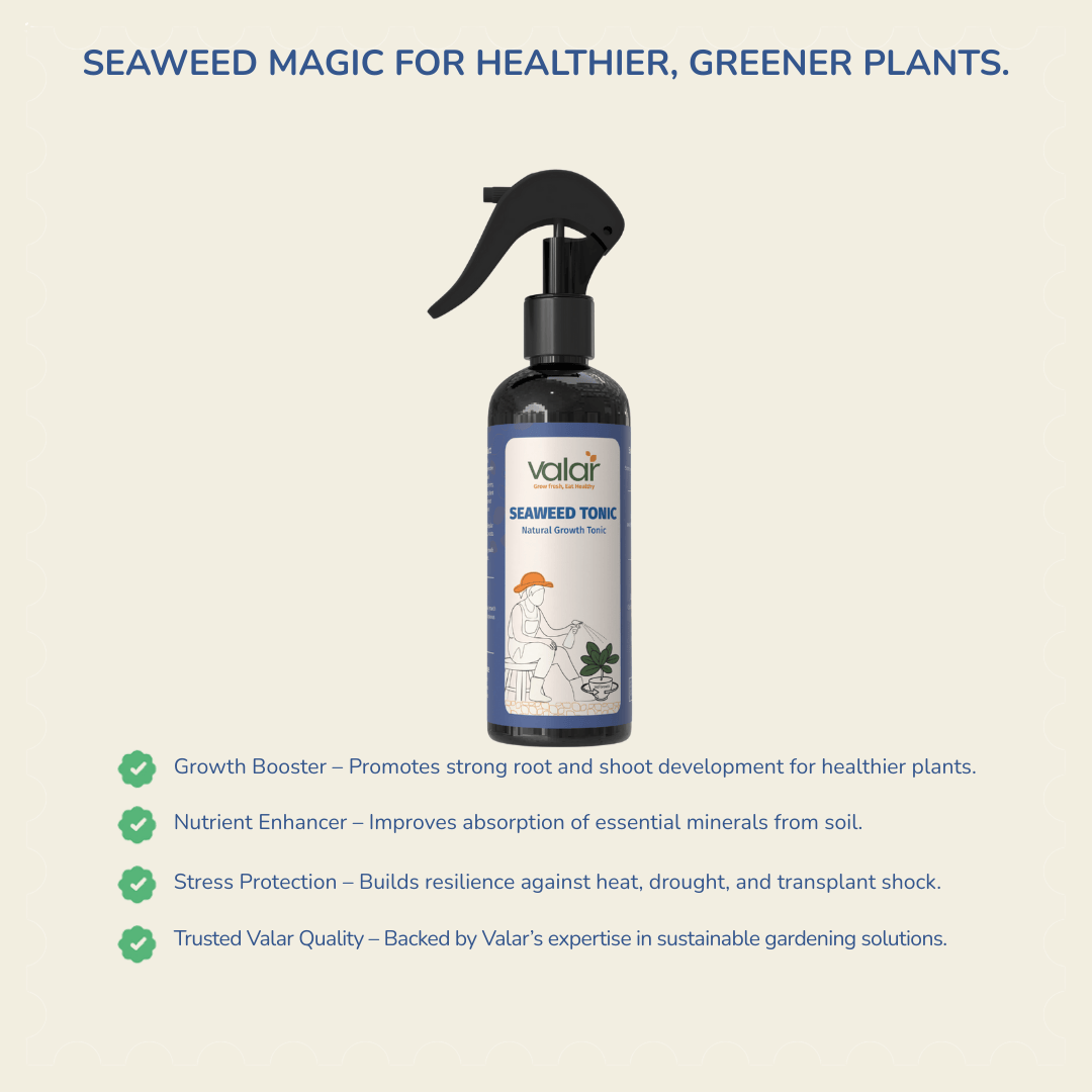 Seaweed Tonic- Ready-To-Use Spray (250 ml)
