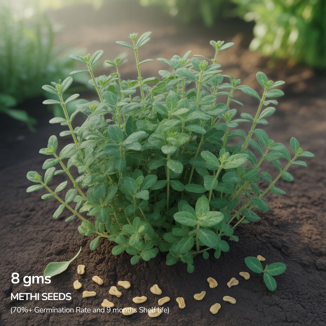 Organic Methi Seeds (Fenugreek)