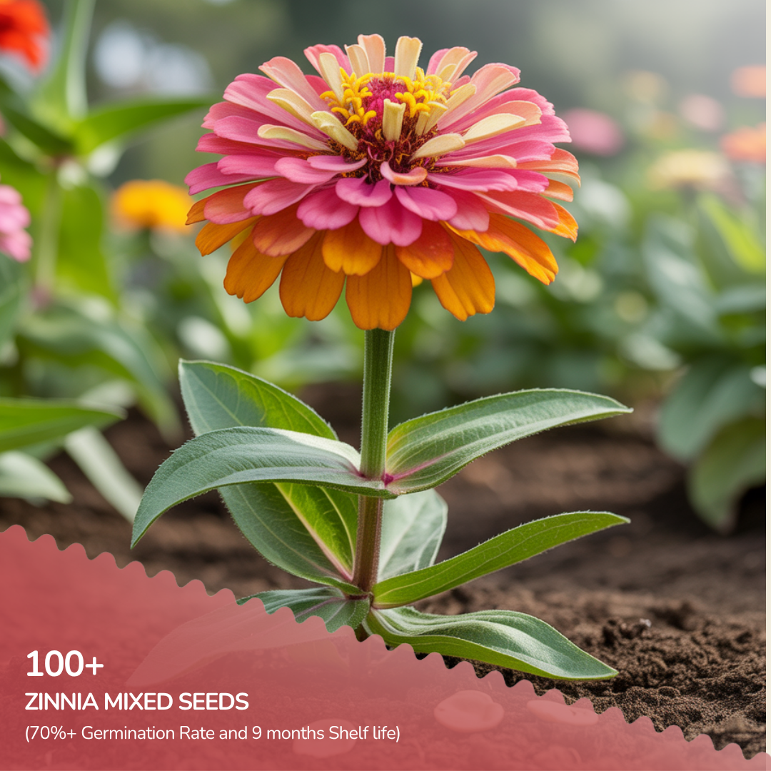 Pack of 7 Monsoon Seeds Sowing Flowering Bundle